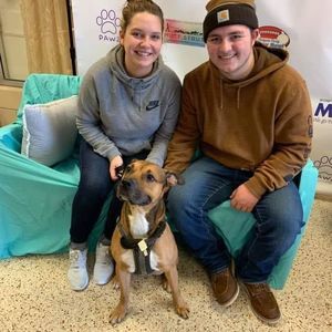 Meet your Posher, Devon